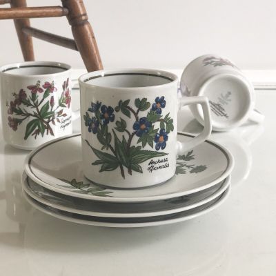 Кофейная пара Winterling Germany рисунок Anchusa