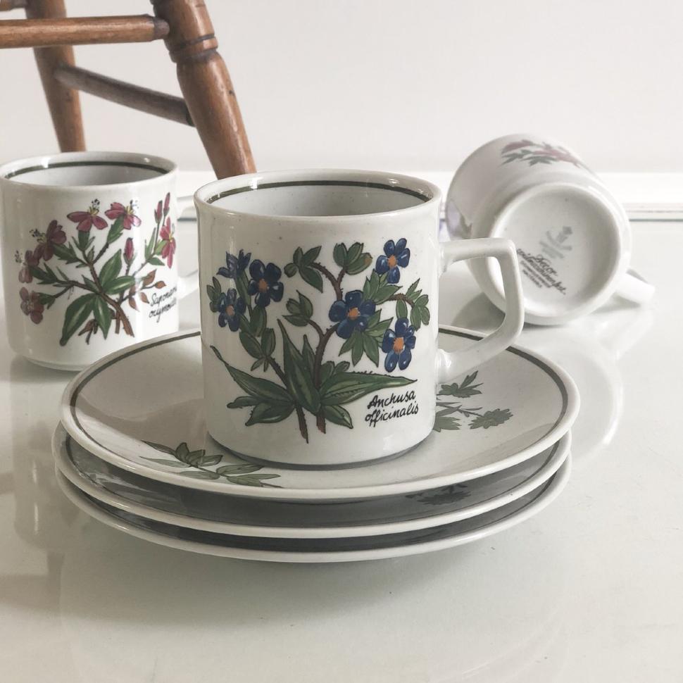 Кофейная пара Winterling Germany рисунок Anchusa