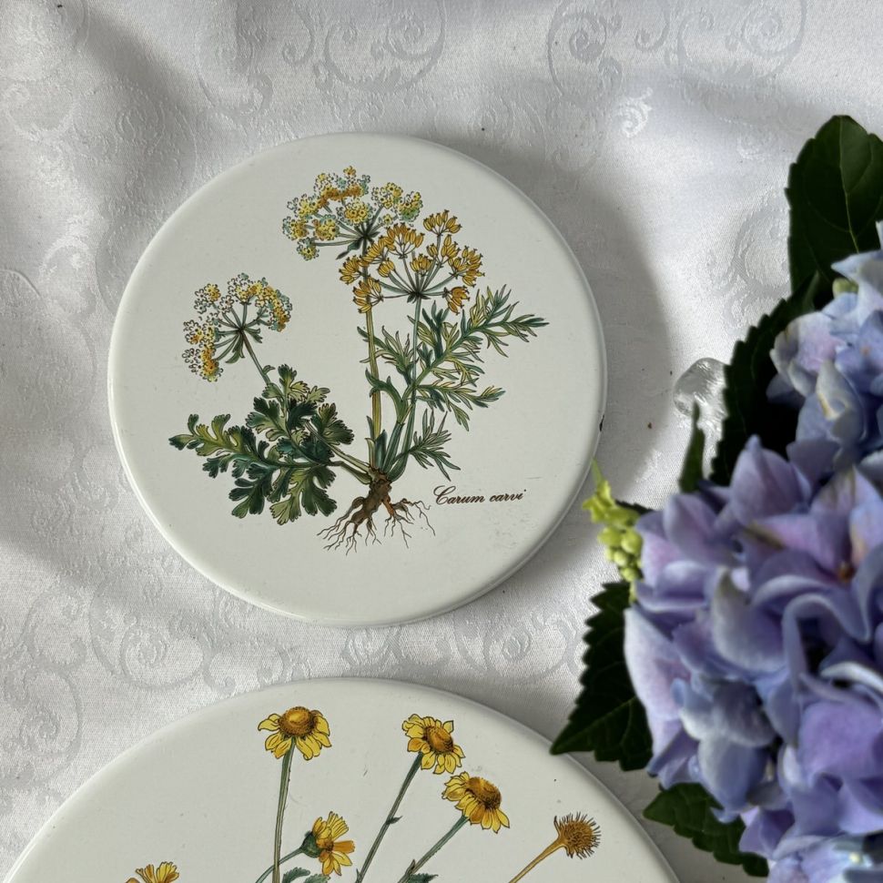 Накладка эмалированная Botanica ВиллеройБох 17 см на газовую плиту 