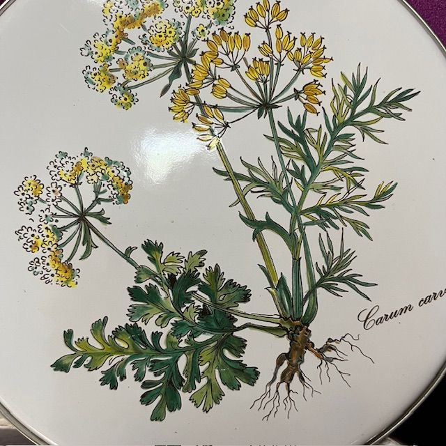 Накладка эмалированная Botanica ВиллеройБох 17 см на газовую плиту