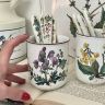 Стакан ВиллеройБох Botanica 300 мл