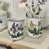 Стакан ВиллеройБох Botanica 300 мл