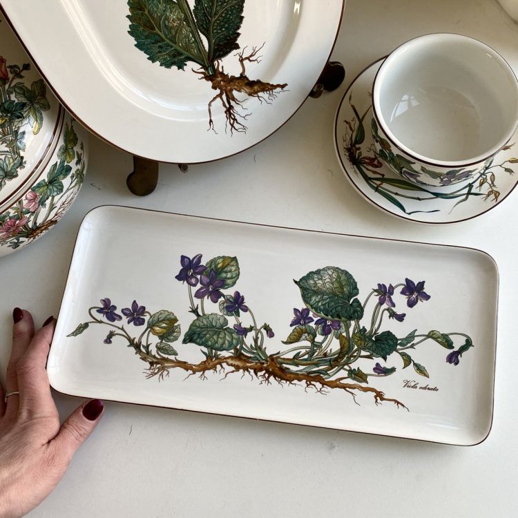 тесты ботаника 6 класс. старые книги о ботанике. виллерой бох ботаника сервиз. ботаника интернет. суп в хлебной тарелке.