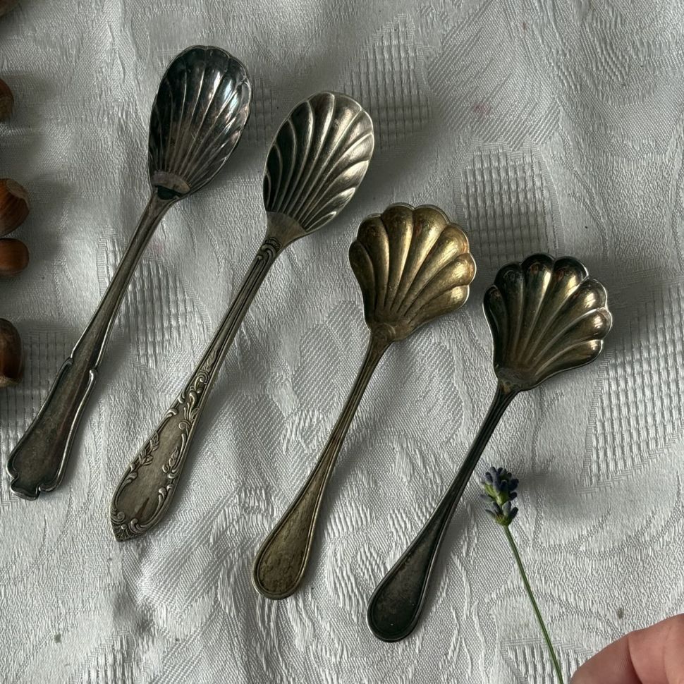 Ложка Ракушка 14 см серебрение 100