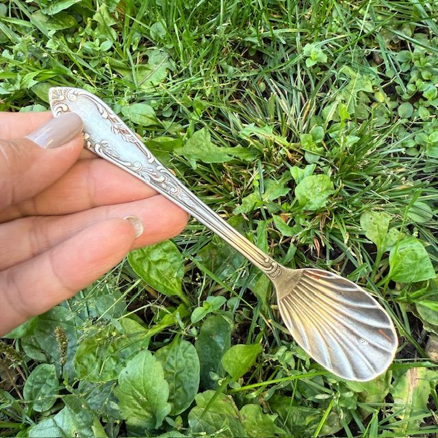 Ложка Ракушка 14 см серебрение 100