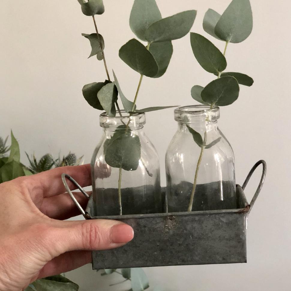 Ваза голландская, 2 банки в оцинкованом держателе Fleurs