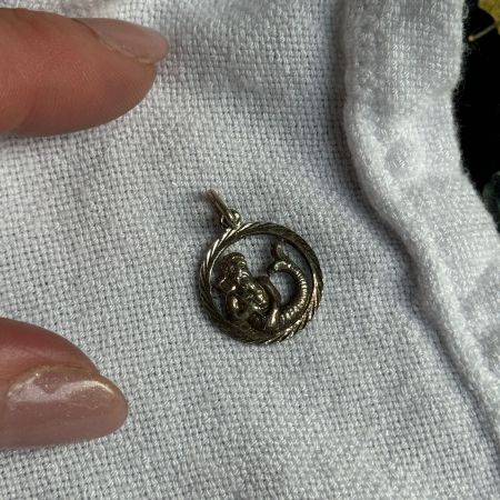 Подвеска Зодиак Водолей 1 см серебро