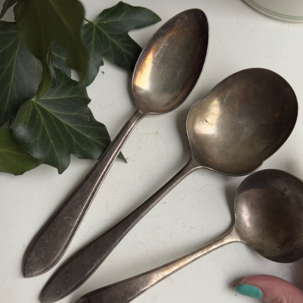 Ложка столовая Sola 21 см серебрение