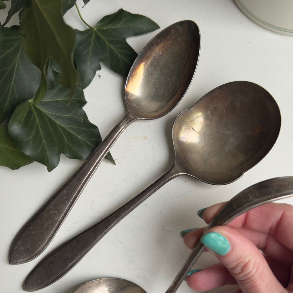 Ложка столовая Sola 21 см серебрение