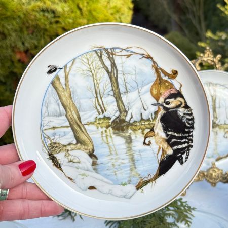 Тарелка Arzberg Birds of the Country Year Январь 17 см фарфор Германия