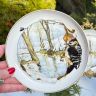 Тарелка Arzberg Birds of the Country Year Январь 17 см фарфор Германия