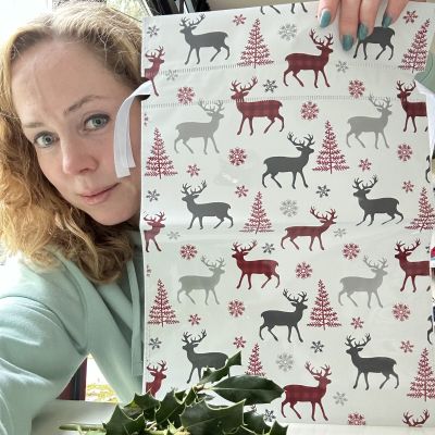 Пакет новогодний 42х29 см Олени