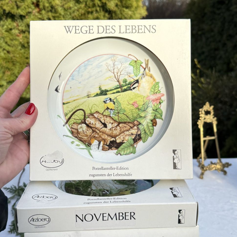 Тарелка Arzberg Birds of the Country Year Июнь 17 см фарфор Германия