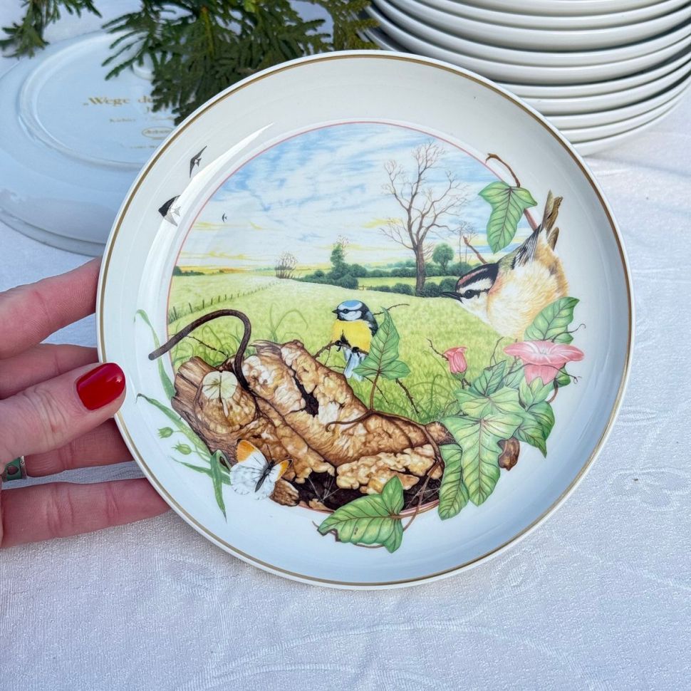 Тарелка Arzberg Birds of the Country Year Июнь 17 см фарфор Германия