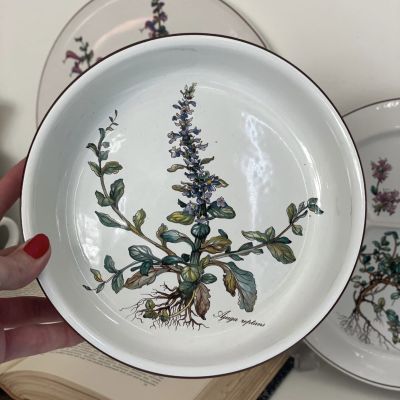 Миска 21 см Botanica ВиллеройБох