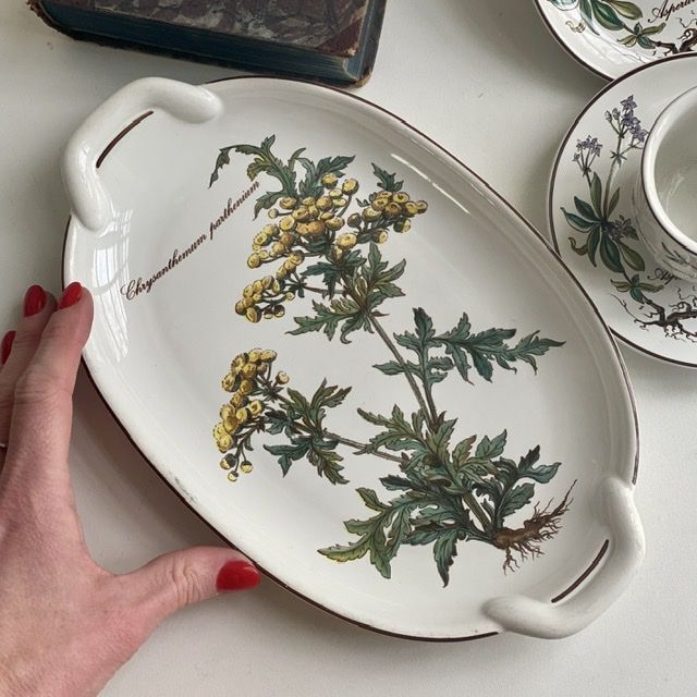 Блюдо Botanica ВиллеройБох Chrysanthemum 26 см Люксембург