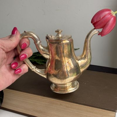 Кофейник мини 250 мл серебрение Нидерланды