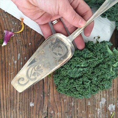 Лопатка для торта Гвоздика