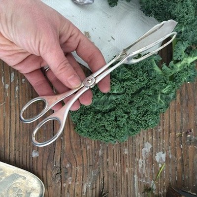 Ножници щипцы для сладкого, хлеба