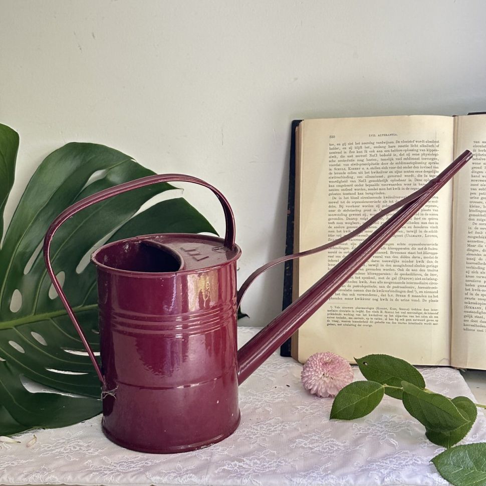 Лейка эмалированная 1,7 л с длинным носиком