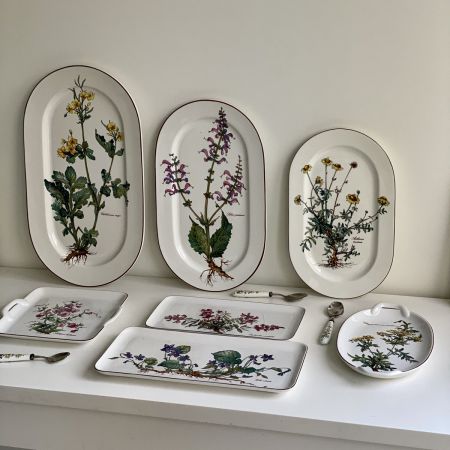 Блюдо Botanica ВиллеройБох 45 см огромное