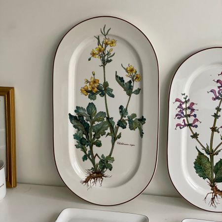 Блюдо Botanica ВиллеройБох 45 см огромное