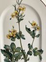 Блюдо Botanica ВиллеройБох 45 см огромное
