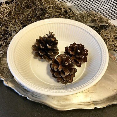 Миска тарелка Wedgwood