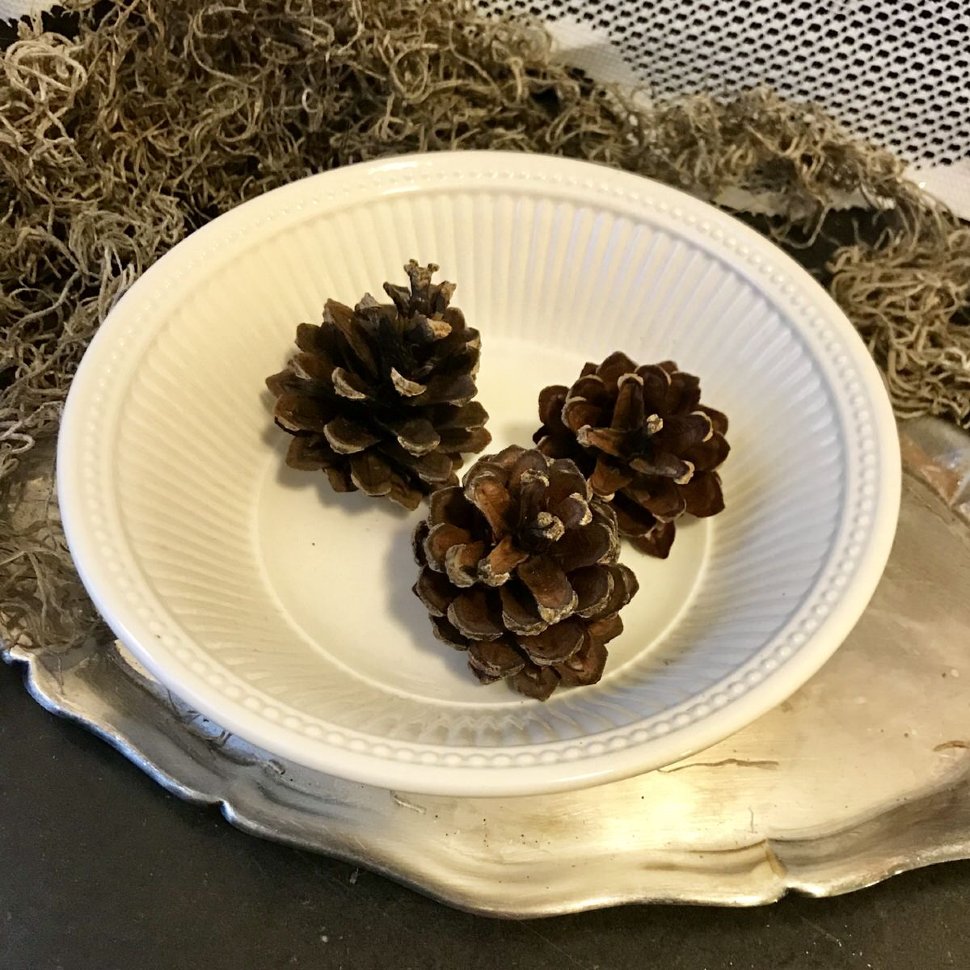 Миска тарелка Wedgwood 