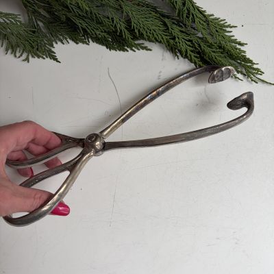 Щипцы для угля 26 см мельхиор