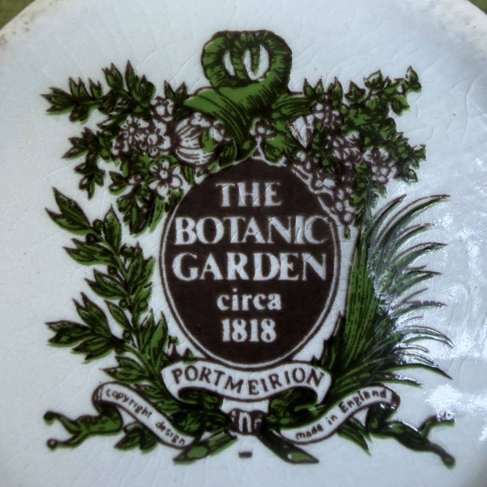 Кофейная пара Portmeirion The Botanic garden 140 мл Англия