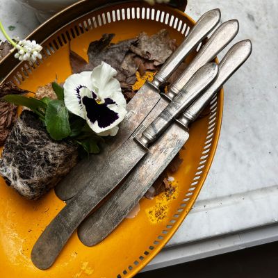 Нож столовый Garantie Solinger 23 см серебрение