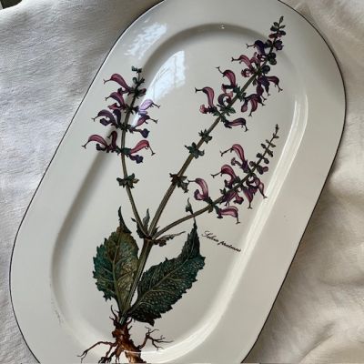 Блюдо Botanica ВиллеройБох 39 см