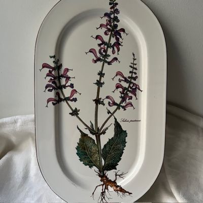 Блюдо Botanica ВиллеройБох 39 см
