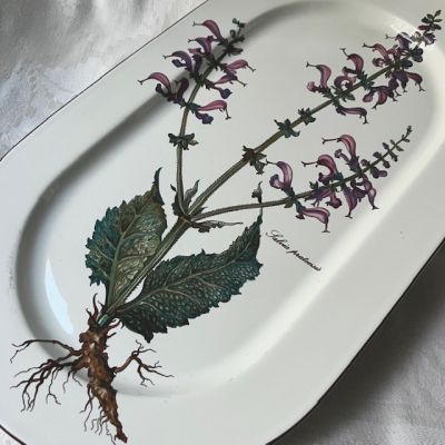 Блюдо Botanica ВиллеройБох 39 см