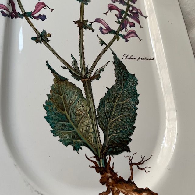 Блюдо Botanica 39 см Salvia ВиллеройБох