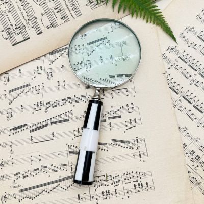 Лупа круглая для чтения Шахматы 23 см сталь