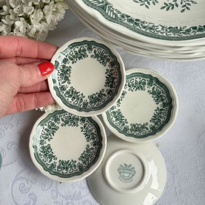 Розетка ВиллеройБох Fasan зеленый 8 см Германия  