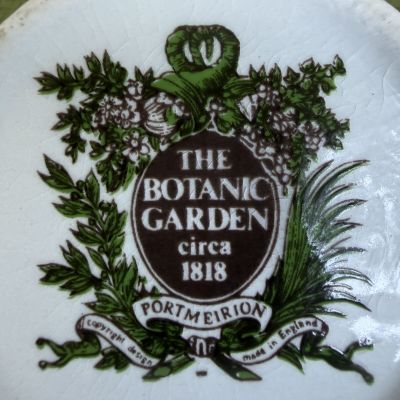 Кофейная пара Portmeirion The Botanic garden 140 мл Англия