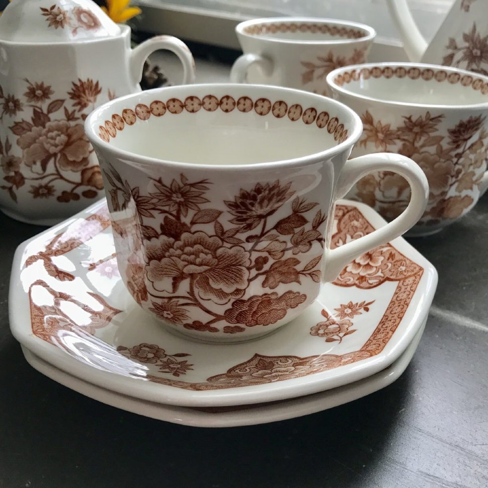 Чайная пара Old Pekin Royal Staffordshire