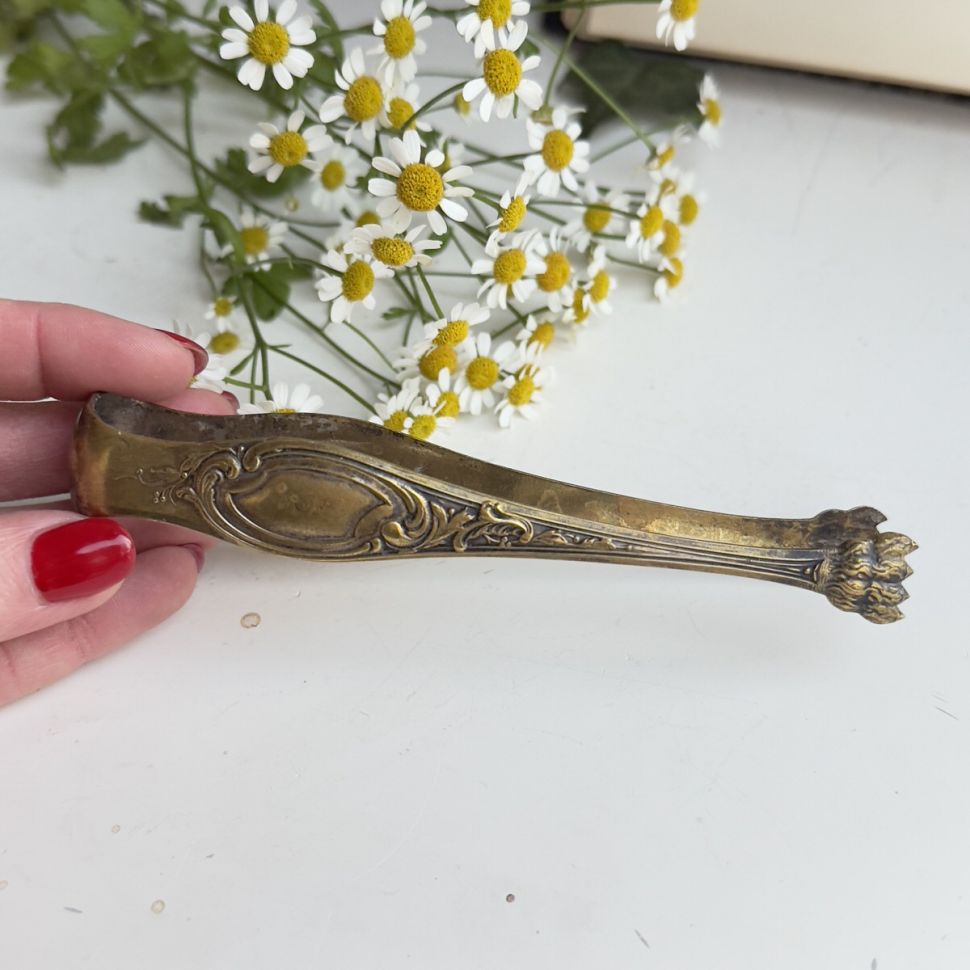 Щипцы для льда и сахара Лев 14 см латунь