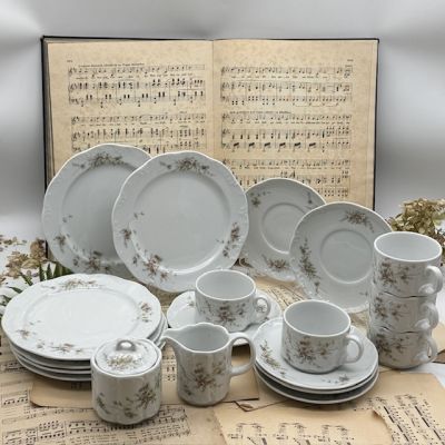 Набор Rosenthal Monbijou Hotel & Restaurant 20 предметов Германия