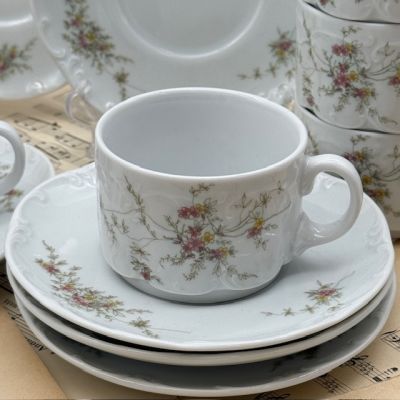 Набор Rosenthal Monbijou Hotel & Restaurant 20 предметов Германия