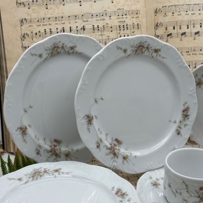 Набор Rosenthal Monbijou Hotel & Restaurant 20 предметов Германия