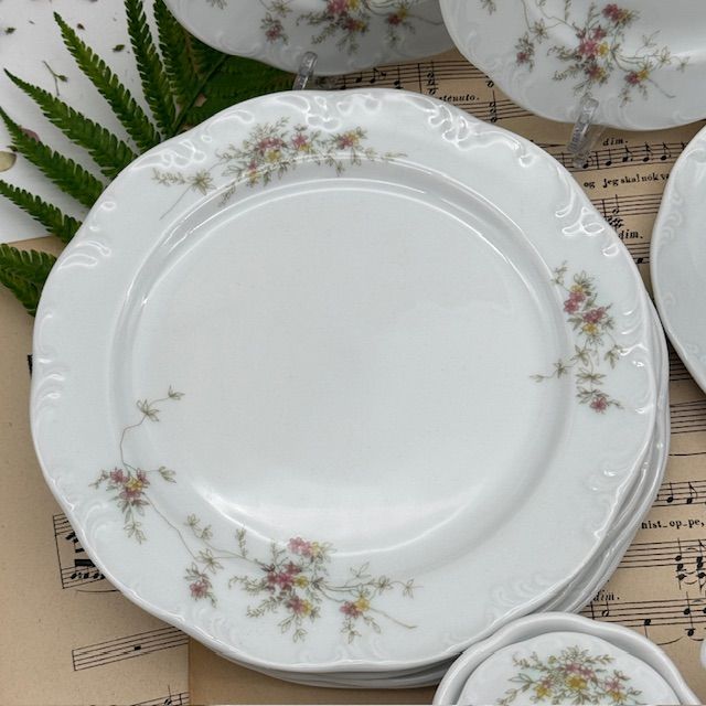 Набор Rosenthal Monbijou Hotel & Restaurant 20 предметов Германия