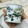 Кофейная пара Portmeirion The Botanic garden 140 мл Англия