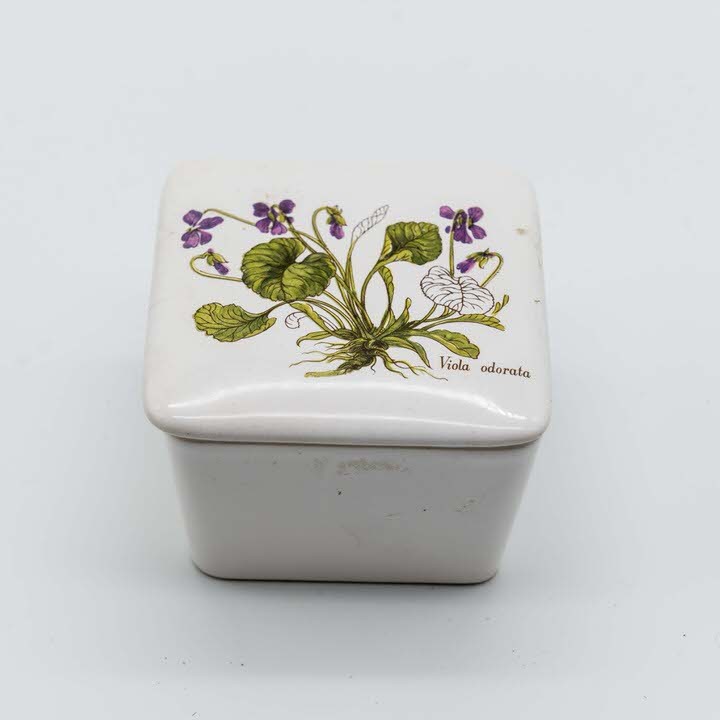 Шкатулка Ботаника Viola Odorata