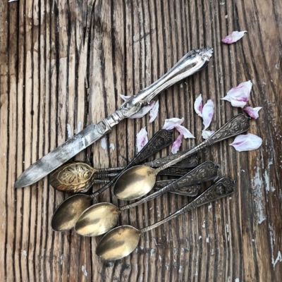 Набор приборов для Евгении 