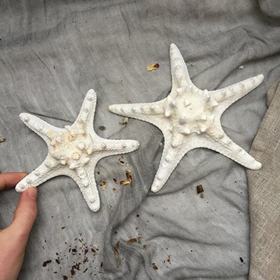 Морская звезда