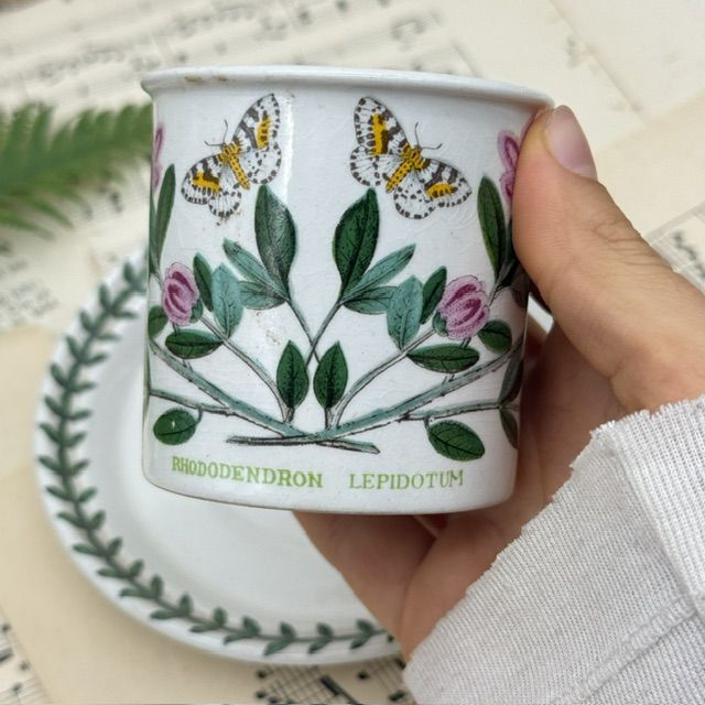 Кофейная пара Portmeirion The Botanic garden 140 мл Англия